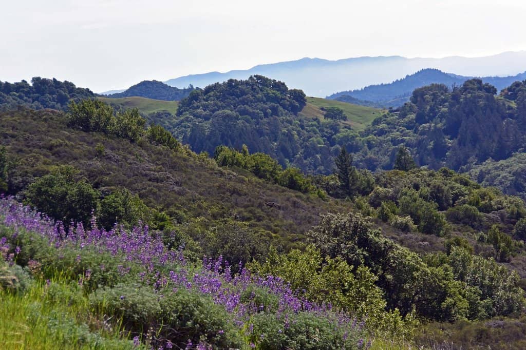 Stargazing at the Observatory