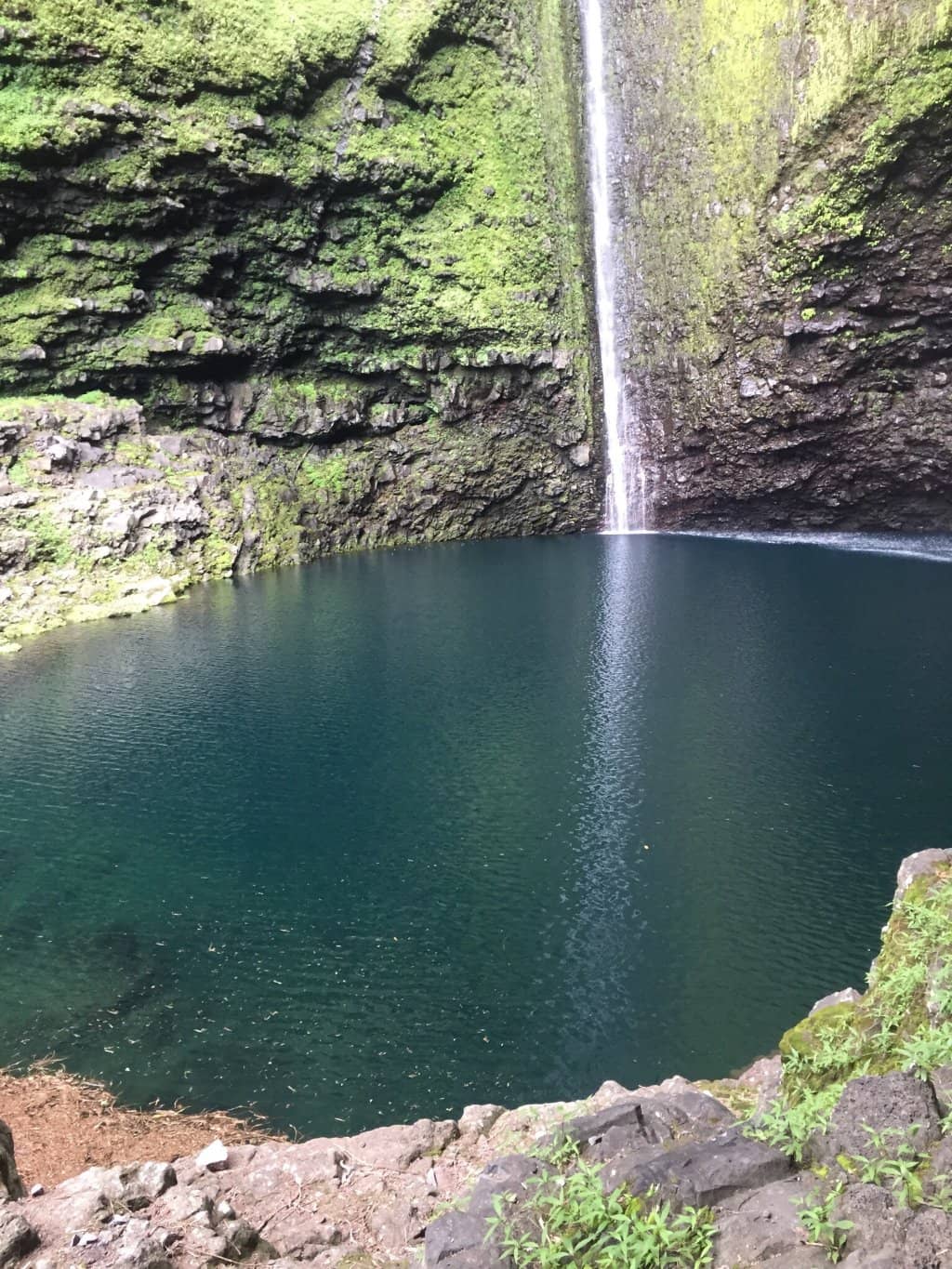 Verdant Surroundings