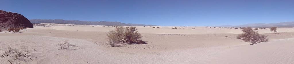 Sandboarding Thrills