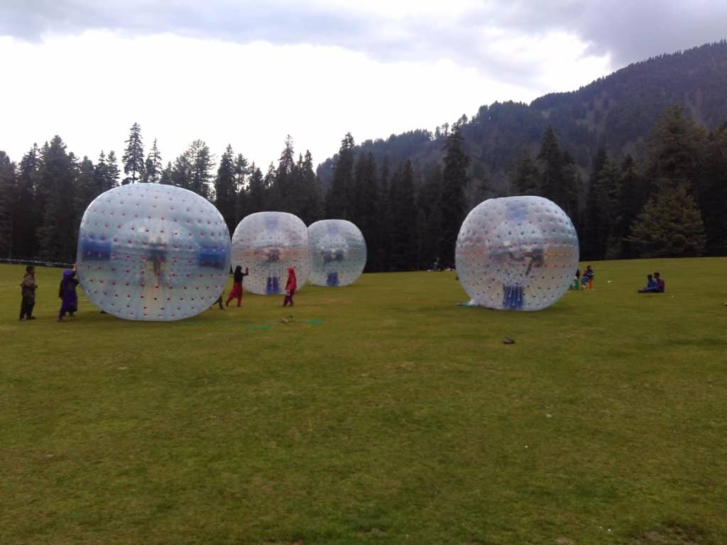 Pony Trek Experience