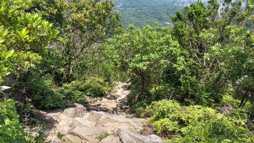 Panoramic City Views