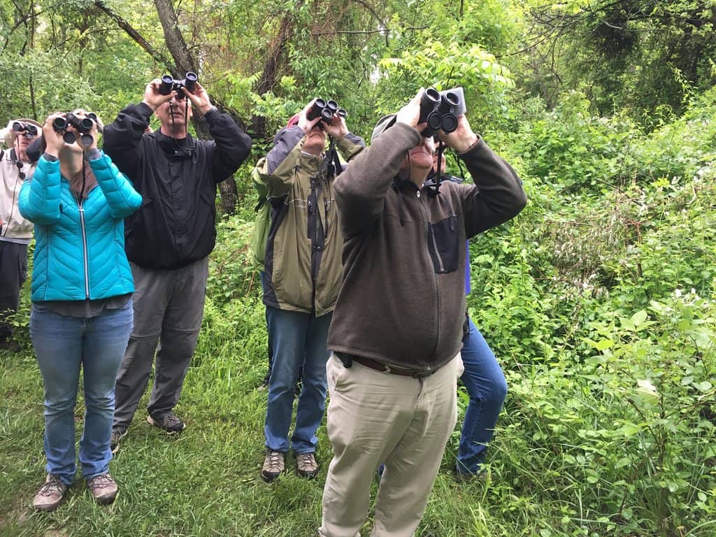Family-Friendly Paths