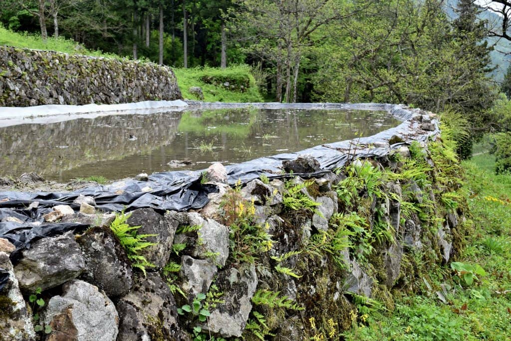 Herbal Onsen Bath