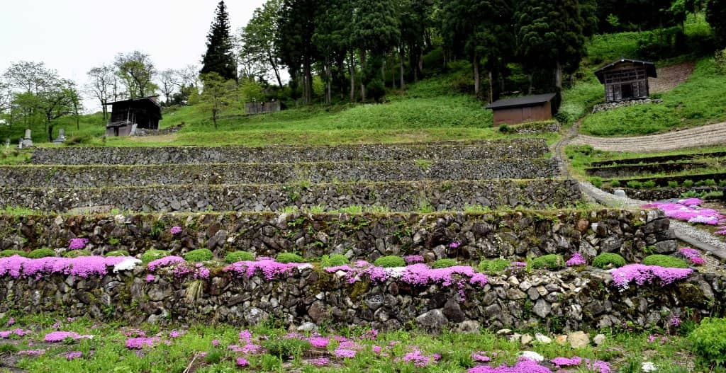 Village & Herb Tours