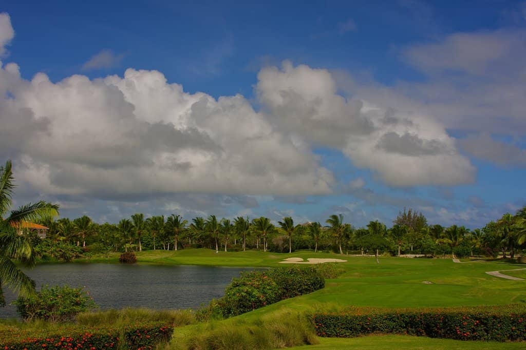 Wide, Forgiving Fairways