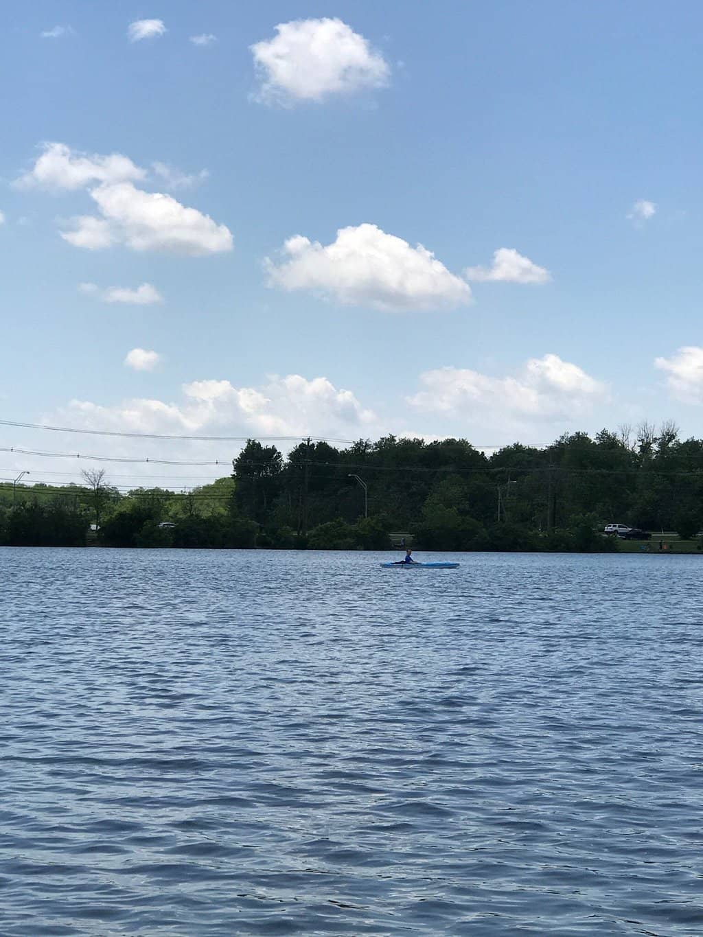 Disc Golf Course