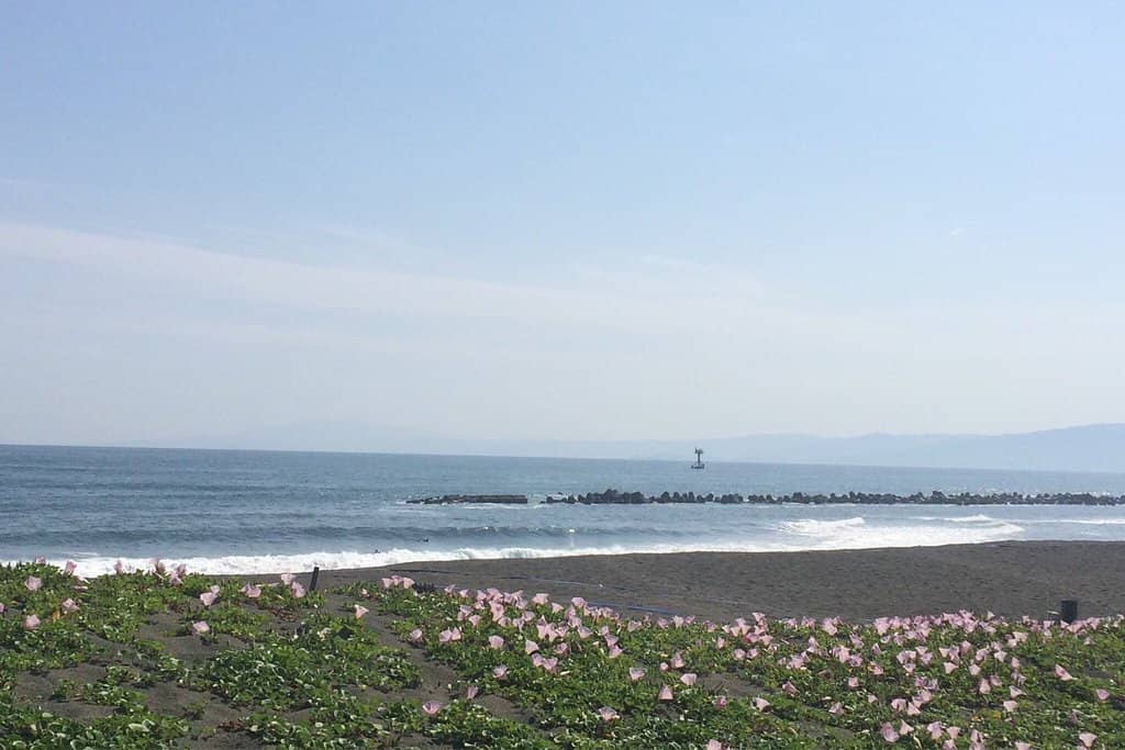 Enoshima Sunset