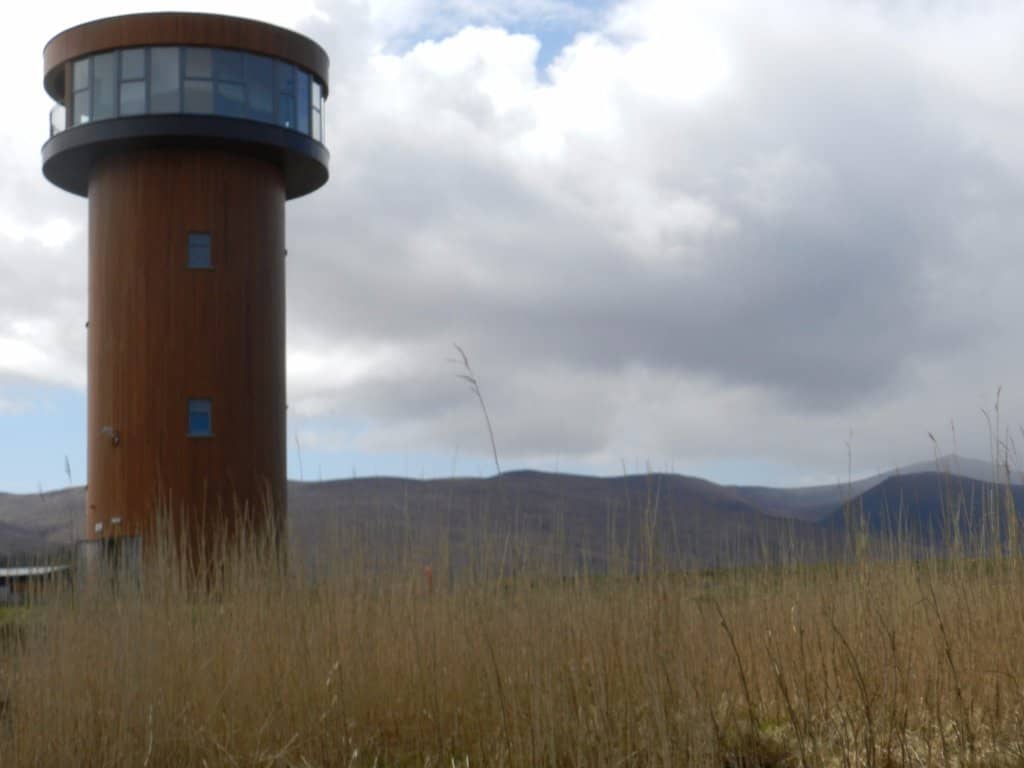 Wetlands Eco Tour