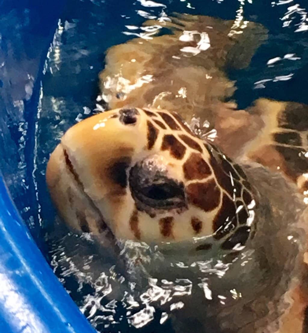 Educational Guided Tours