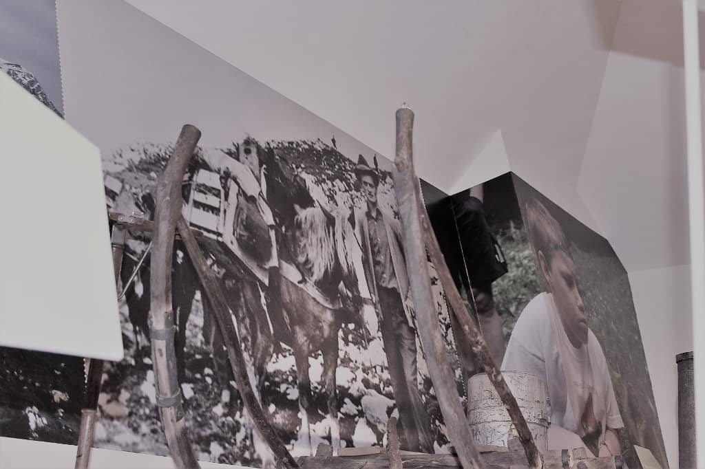 Interactive Kids' Game