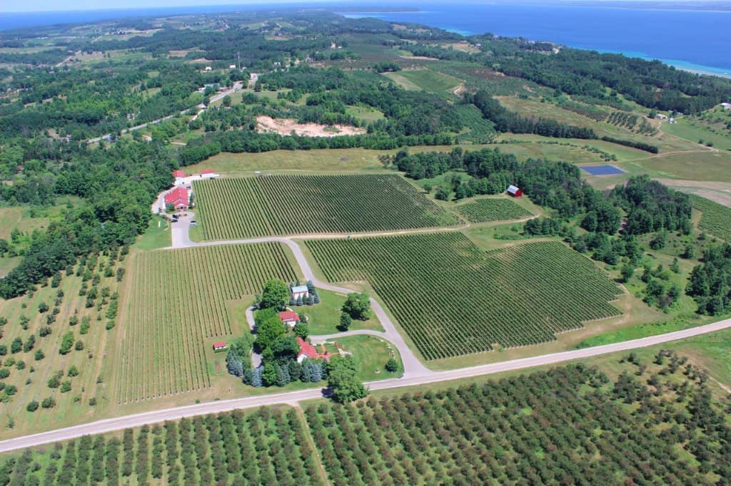 Award-Winning Frosé & Wine Slushies