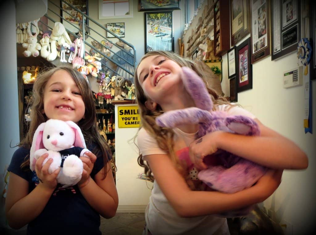 Live Bunnies and Pet Cats