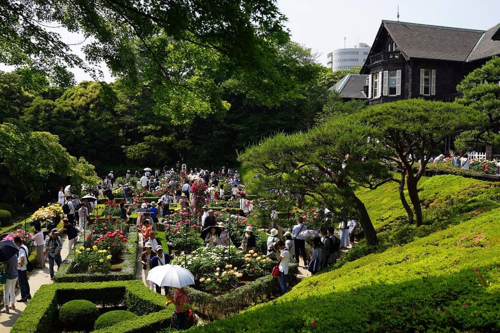 Japanese Garden