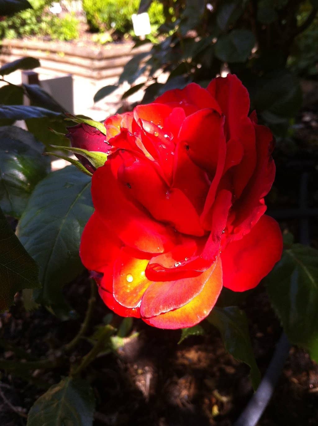 Self-Service Wine Tasting