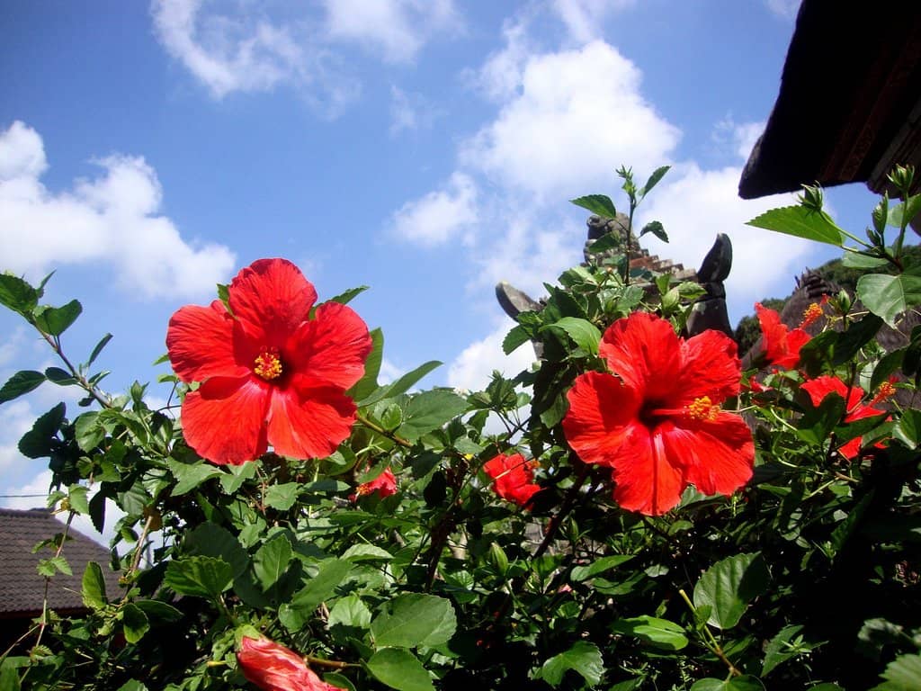 Intricate Temple Architecture