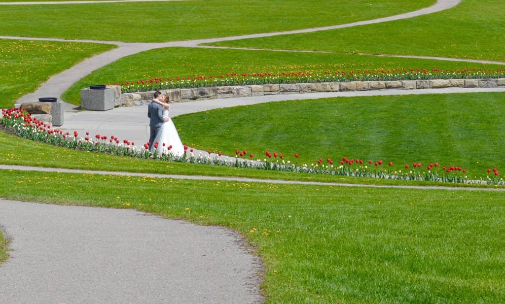 Bow Riverfront Views