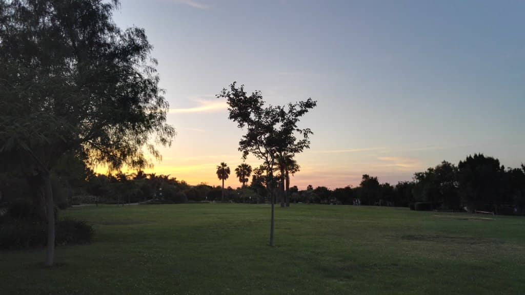 Abundant Green Spaces