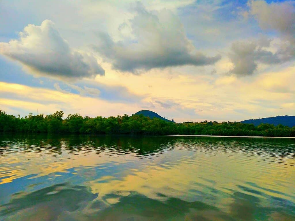 Mangrove Boat Tour