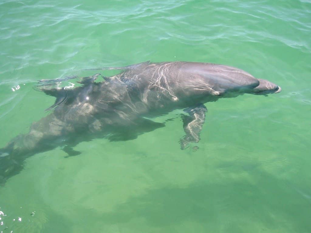 Exploring the Island Trails