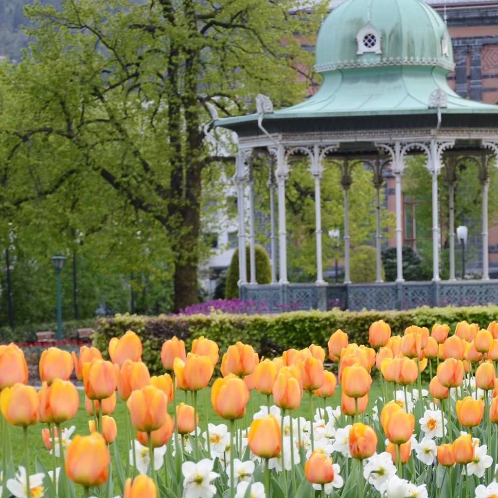 The Picturesque Lake