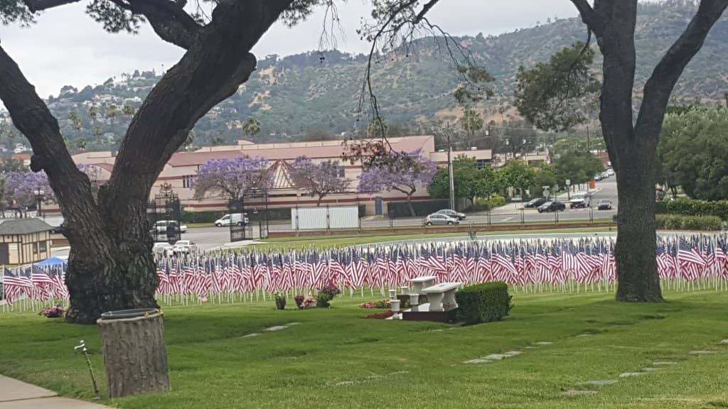 Rotating Art Exhibitions