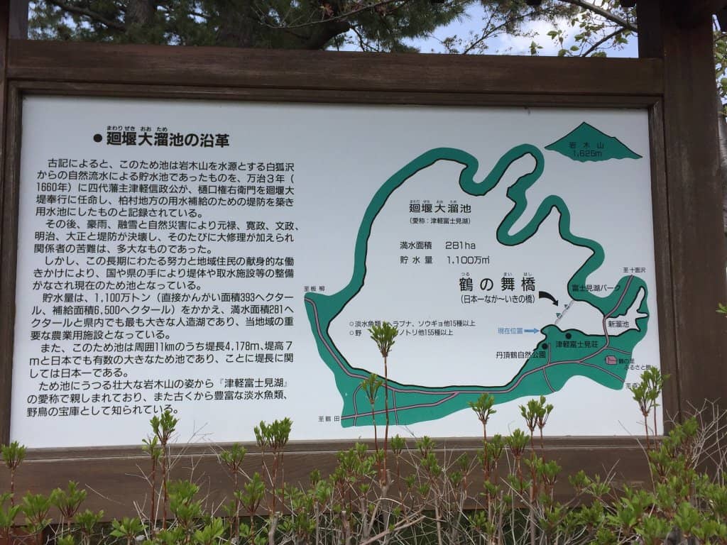 Mt. Iwaki View