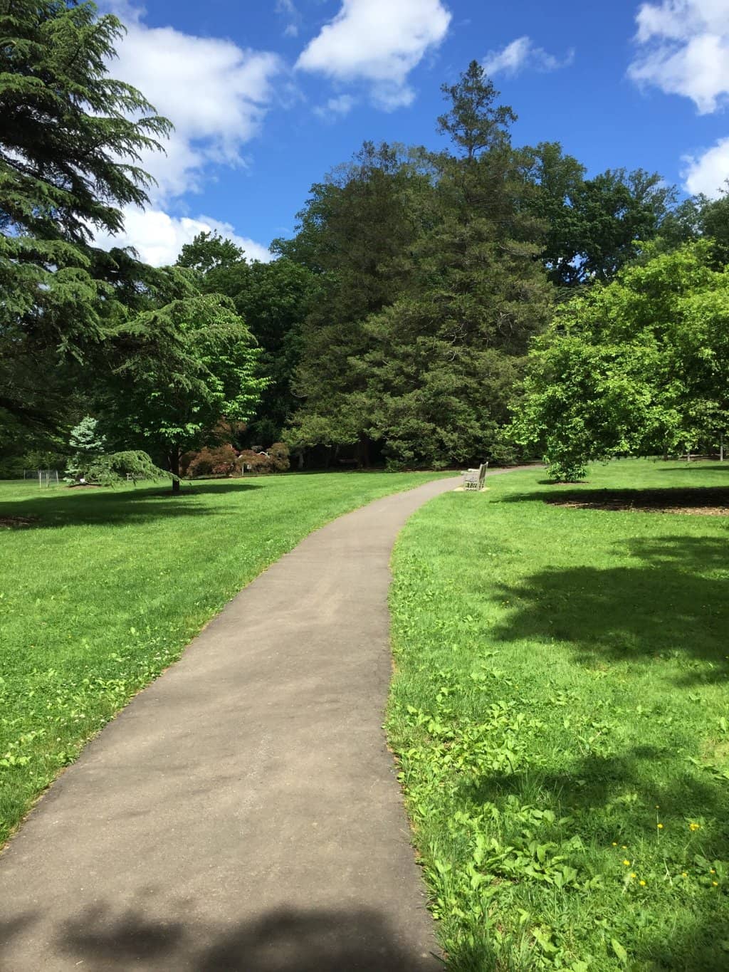 Paved Walking Trails
