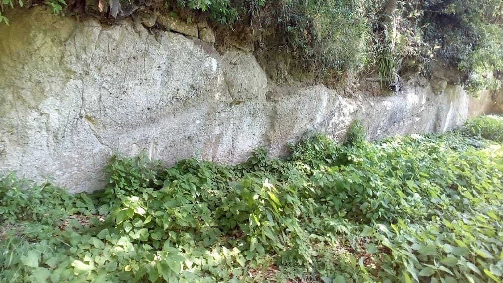 Camaldoli Hill