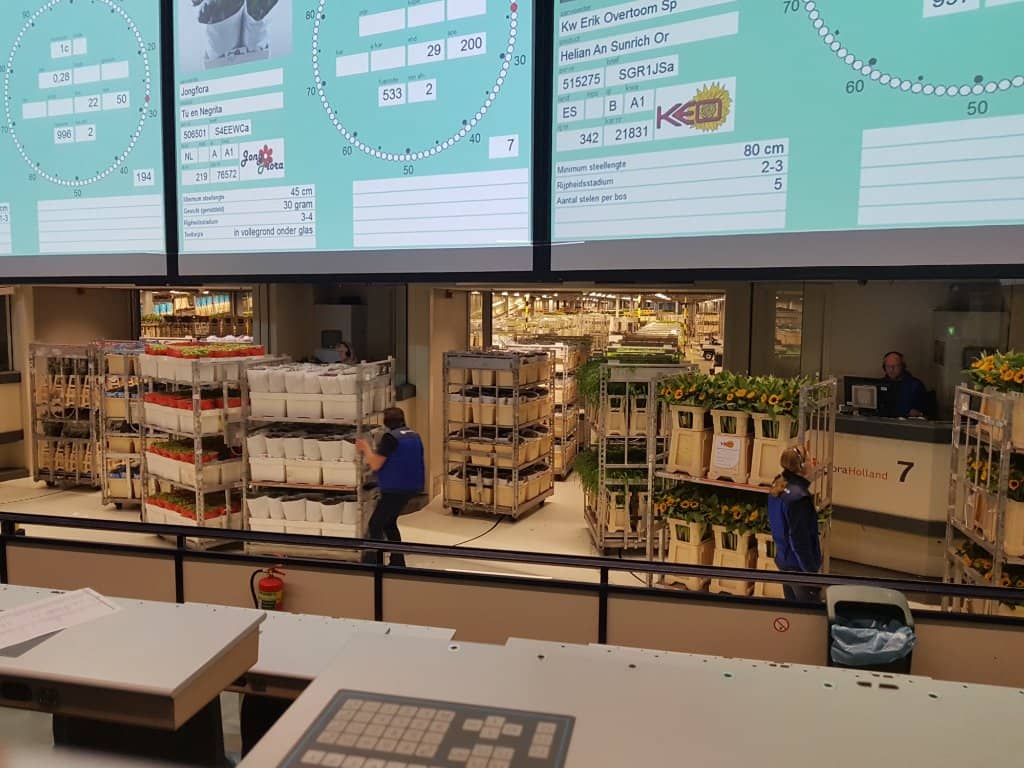 The Electronic Auction Clocks