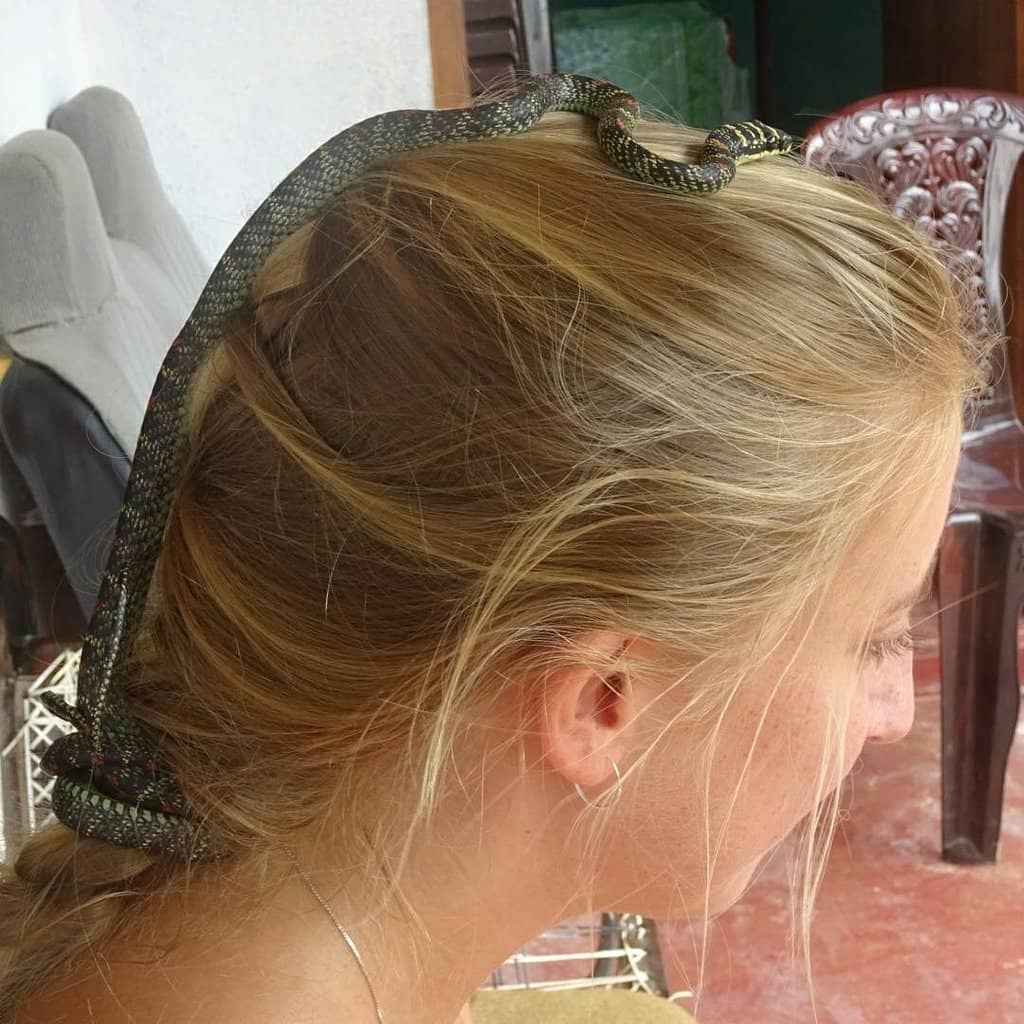 Expert Handling Demonstrations