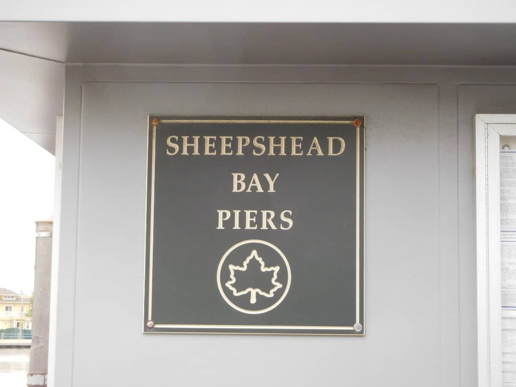 Fishing Charters