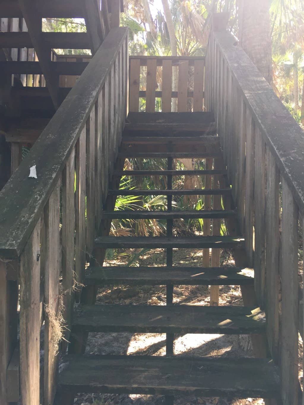 Wildlife Observation Tower