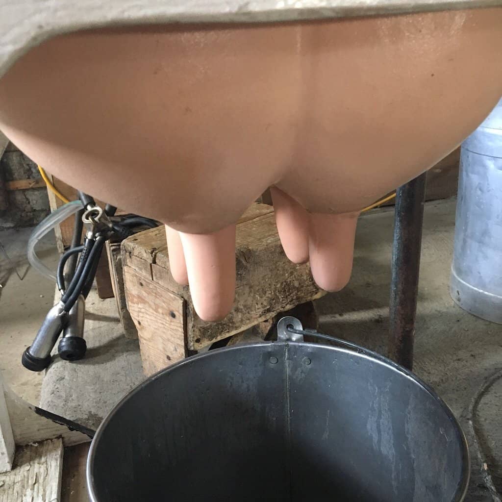 Costumed Demonstrations