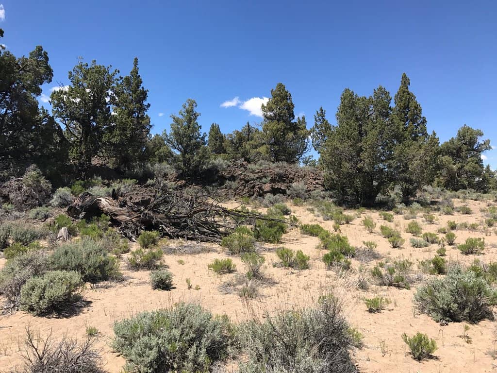 Dispersed Camping Paradise