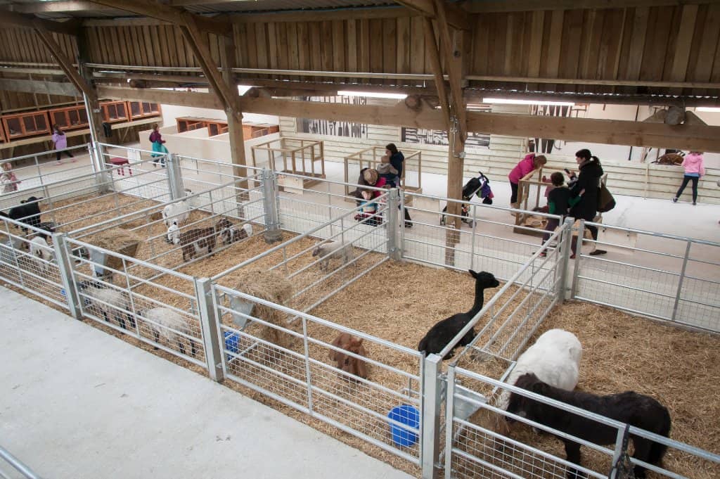 Interactive Animal Encounters