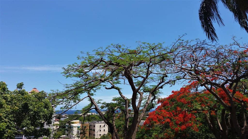 Extensive Walking & Cycling Paths