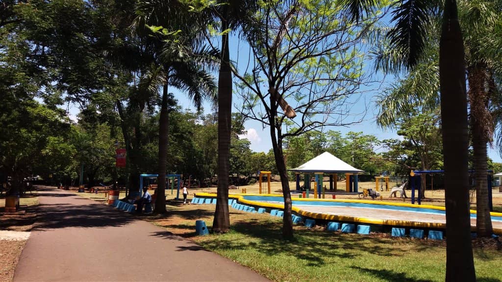 Picnic Paradise