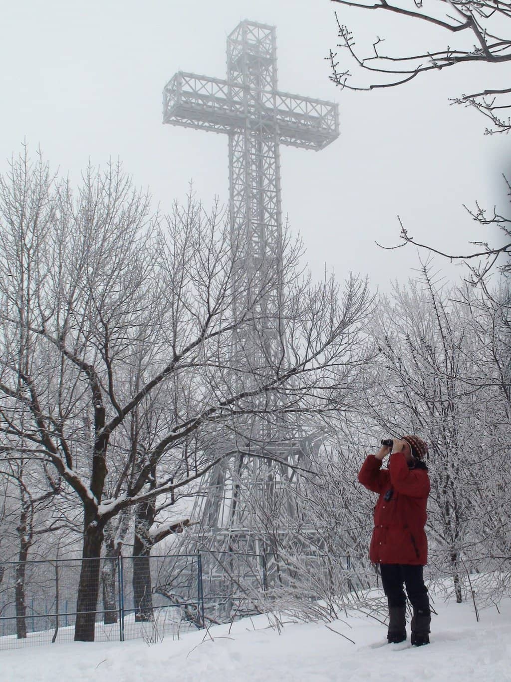 Vertical photo