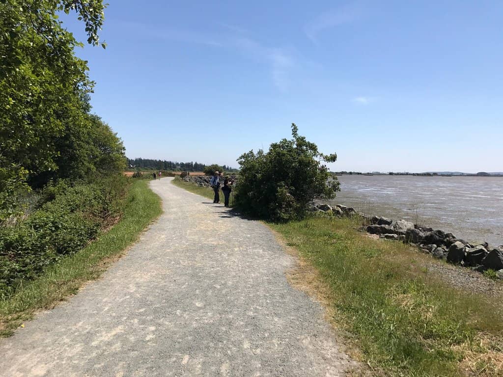 Peaceful Paved Path
