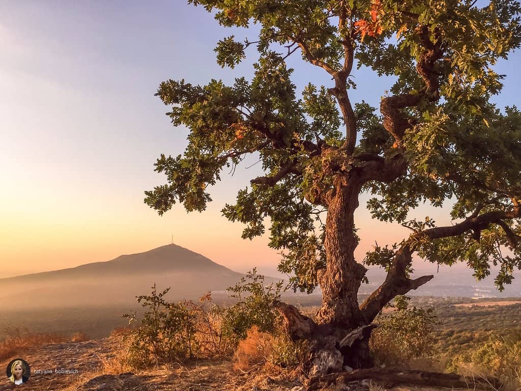 Elbrus & Besthau Sightings