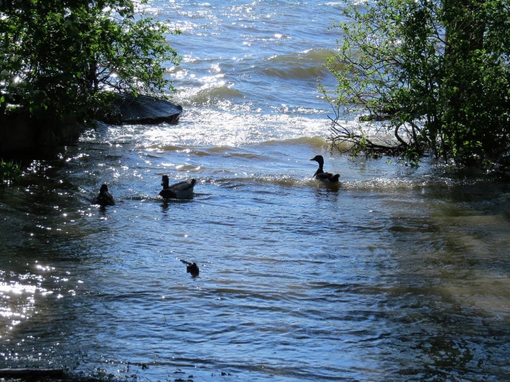 Vertical photo
