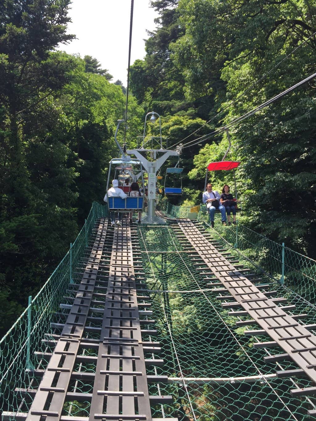 Vertical photo