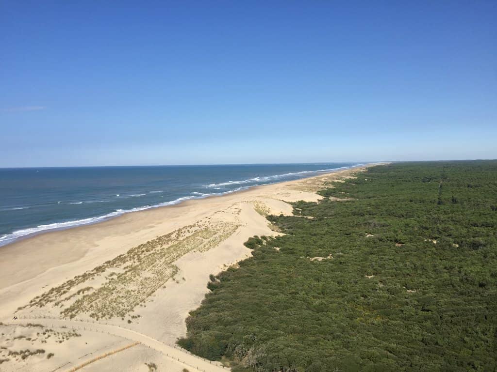 Coastal and Forest Walks