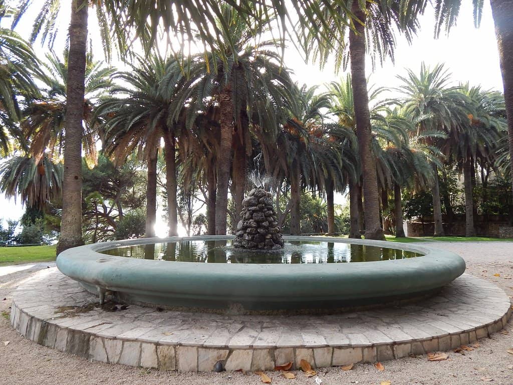 Mediterranean Horticulture