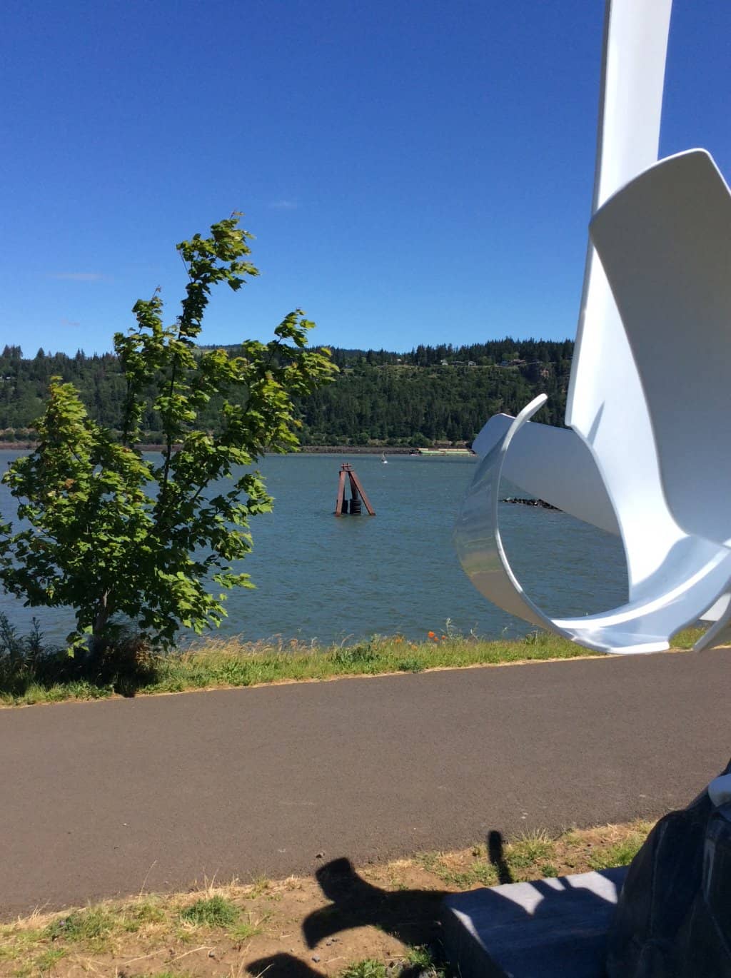 Downwind Foil Run