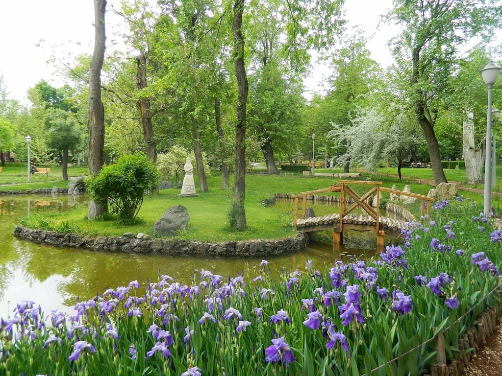 Lush Greenery and Gardens