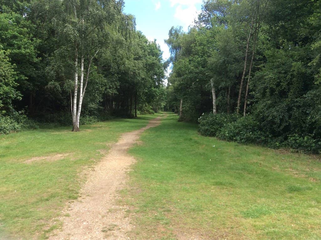 Open Heathland