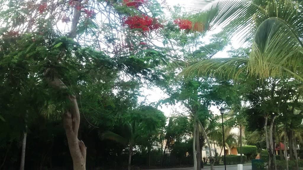 Vertical photo
