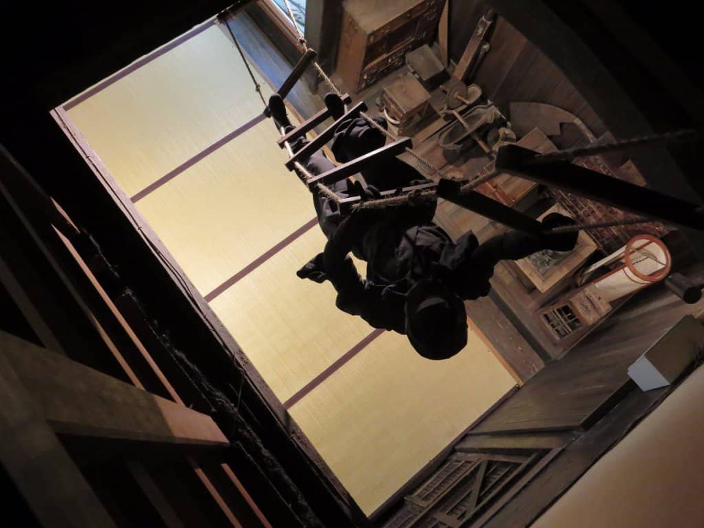 Vertical photo