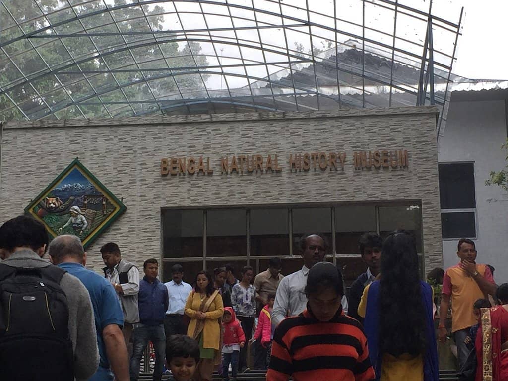 Zoological Specimens